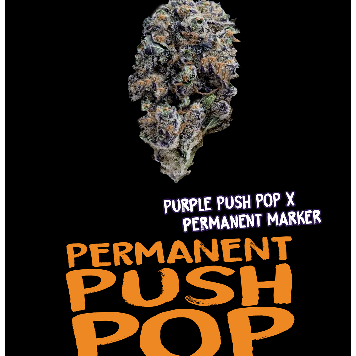 PERMANENT PUSH POP – sixty seven sins