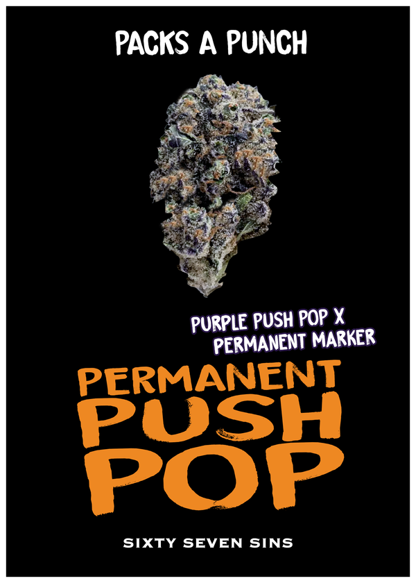 PERMANENT PUSH POP