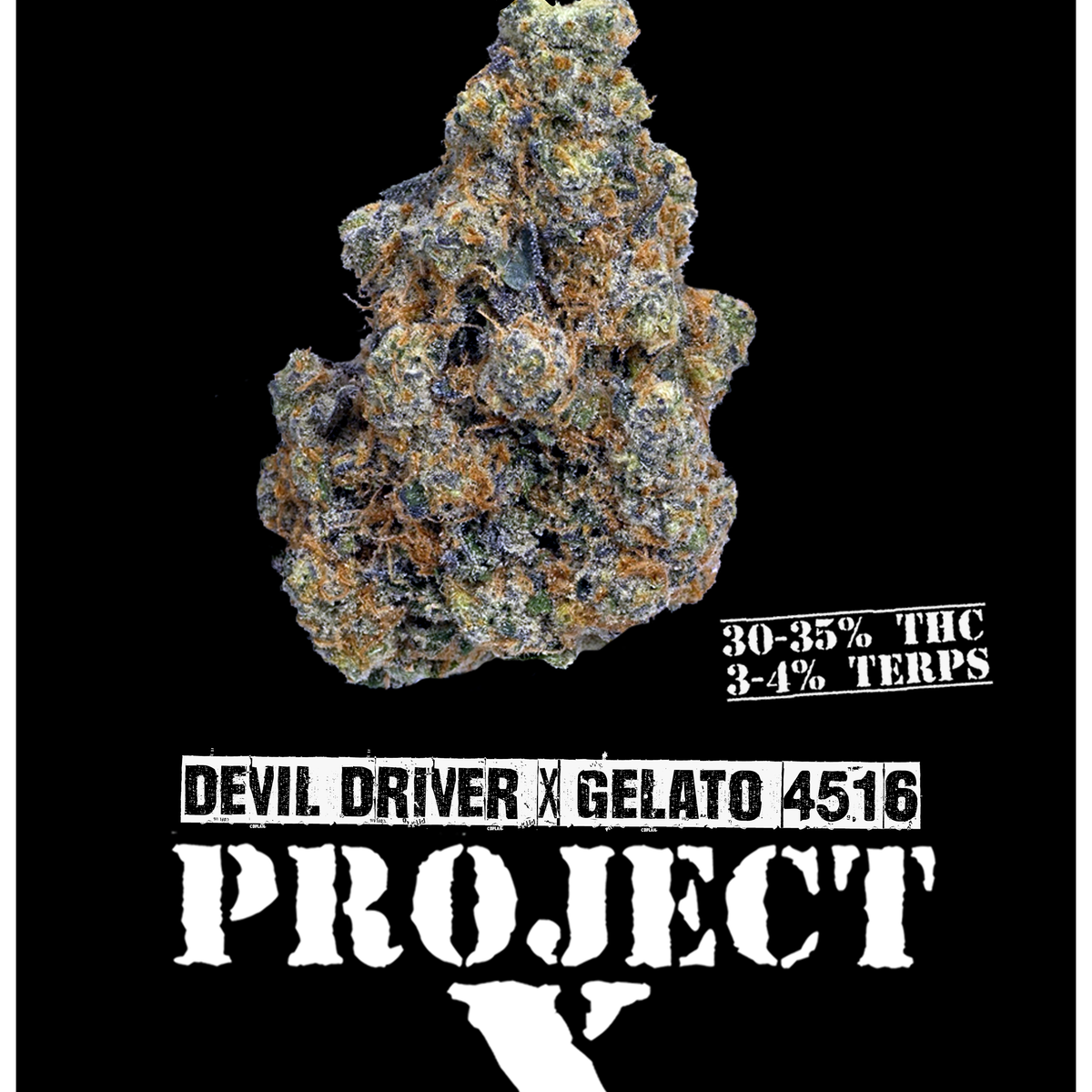 その他 Devil natural type Refrain Seven PROJECT X – sixty seven sins