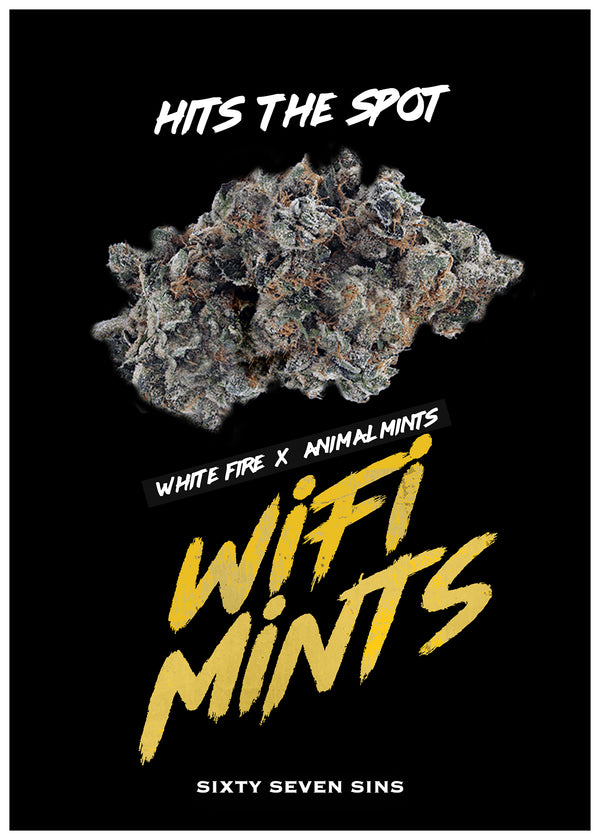 WIFI MINTS