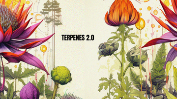 TERPENES EXPLAINED.