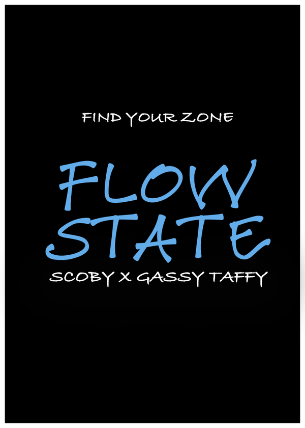 FLOW STATE