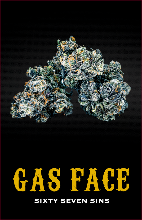 GAS FACE