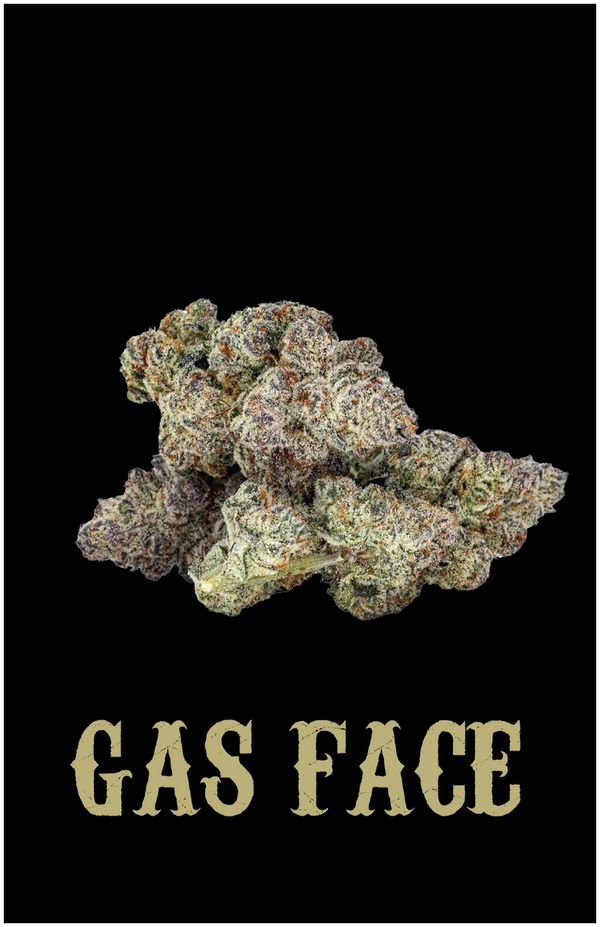 GAS FACE