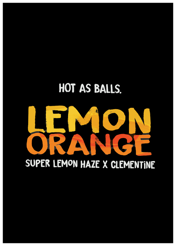 LEMON ORANGE