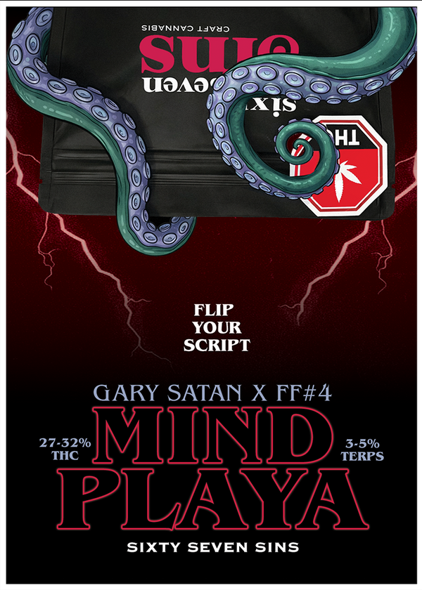 MIND PLAYA