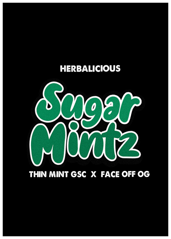 SUGAR MINTZ