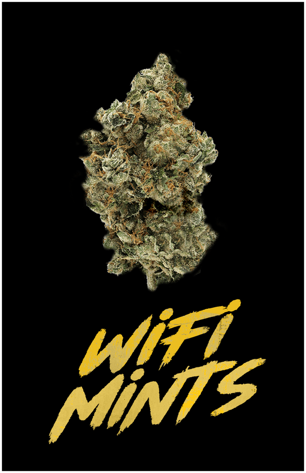 WIFI MINTS
