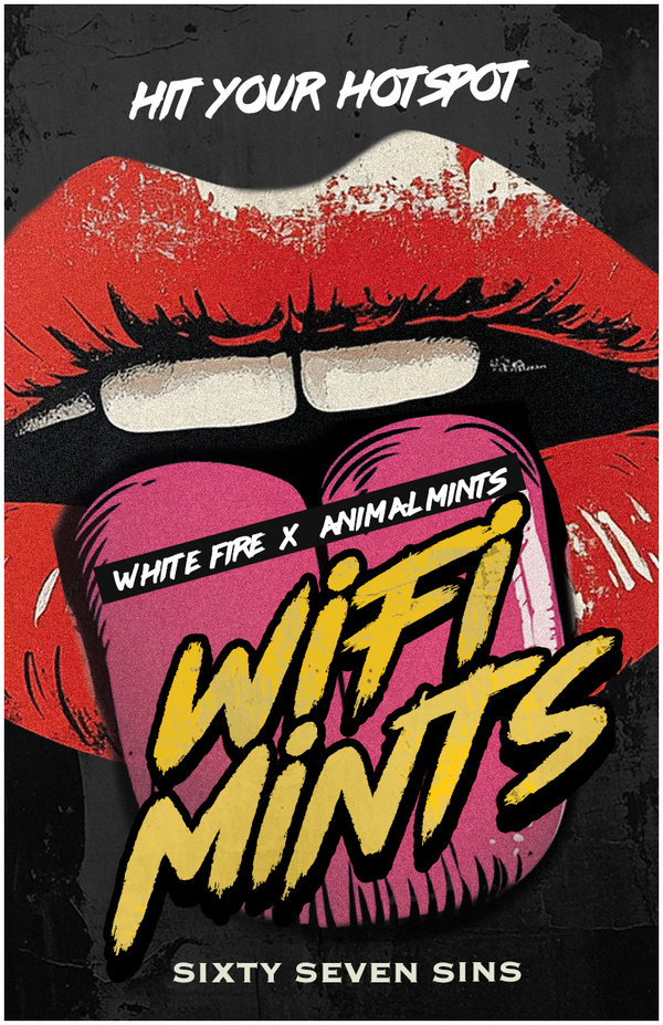WIFI MINTS