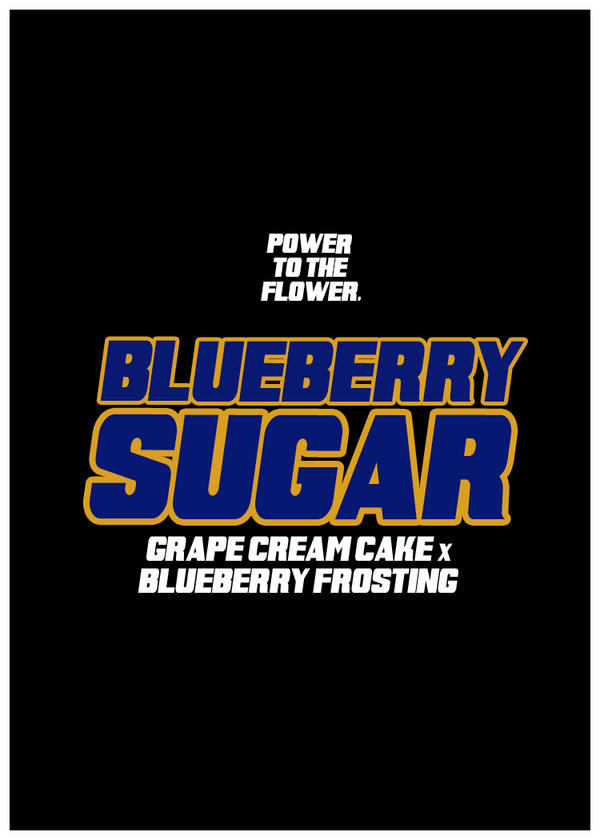 BLUEBERRY SUGAR