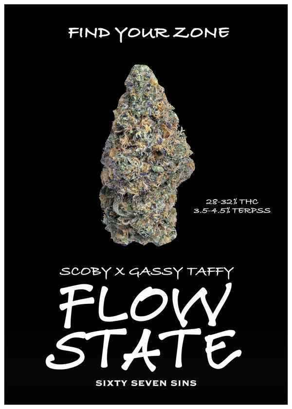 FLOW STATE