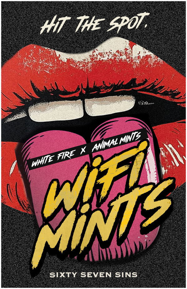 WIFI MINTS