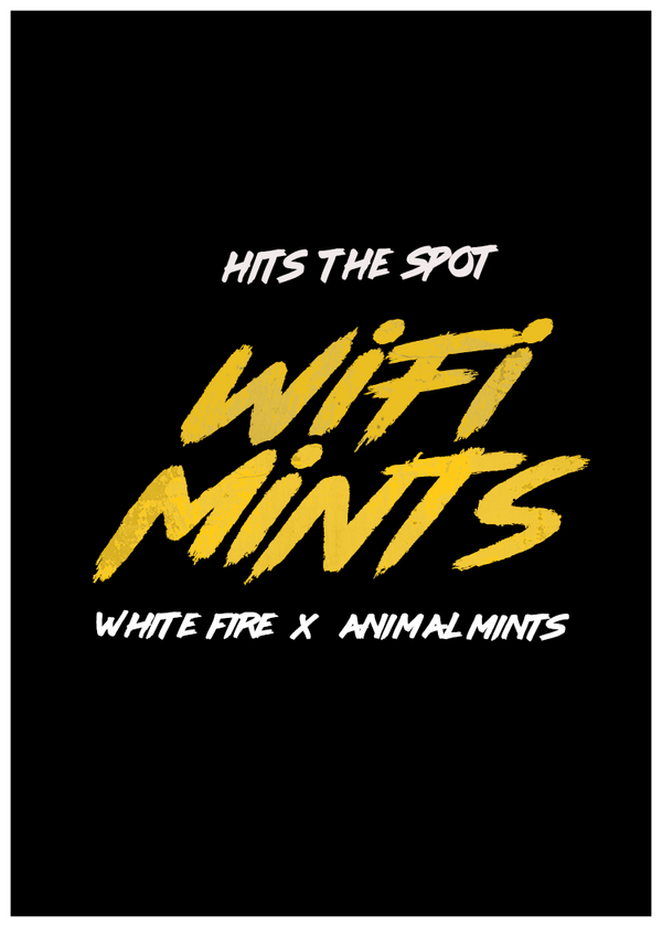 WIFI MINTS